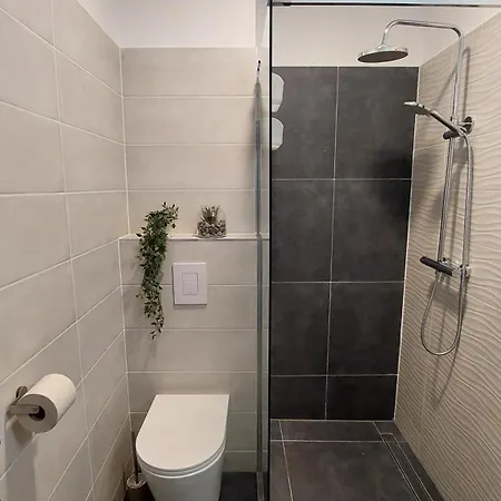 Apartament Orchidea *